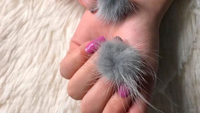 Uñas PICANTE NAILS en M5500EHQ M5500EHR Mendoza Argentina