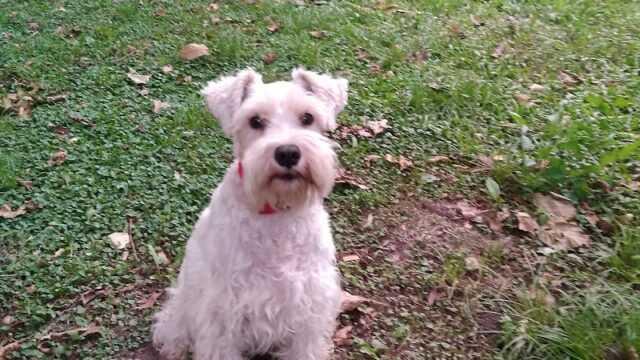 Uñas Instituto Leonor Hurlingham en Hurlingham Provincia de Buenos Aires Argentina