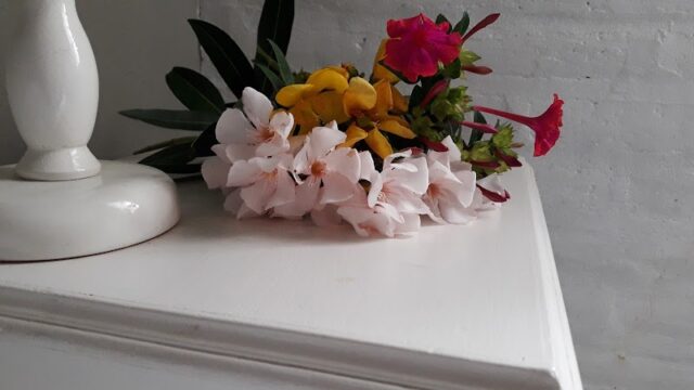 Uñas Afrodita Beauty en Ituzaingó Provincia de Buenos Aires Argentina